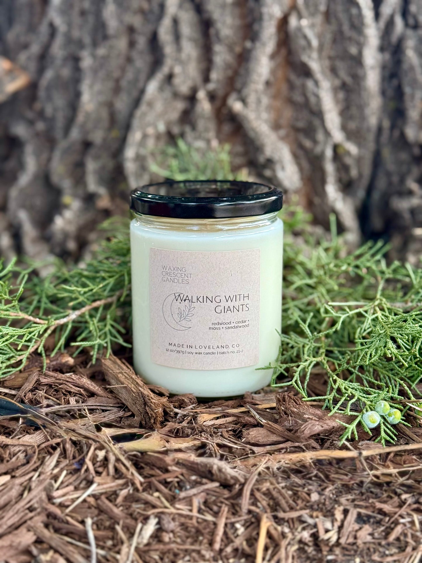 Walking with Giants (redwood + cedar + moss + sandalwood)