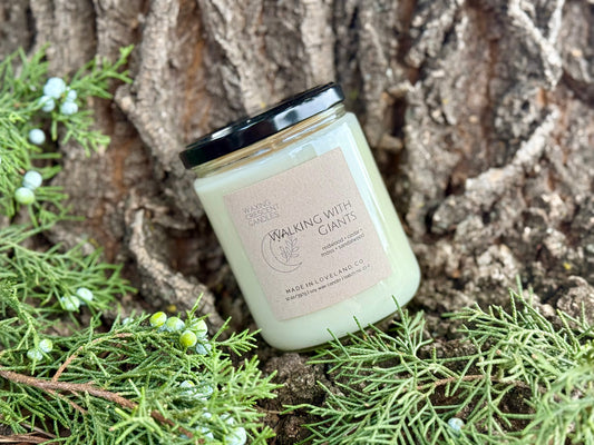 Walking with Giants (redwood + cedar + moss + sandalwood)