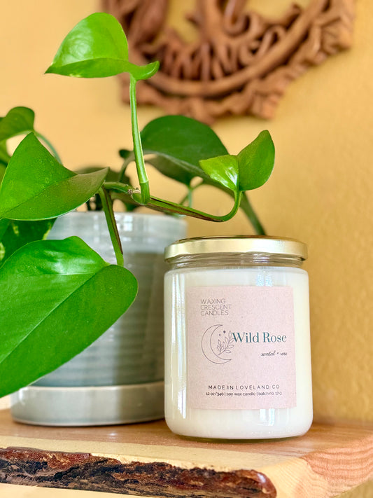 Wild Rose (santal + rose)