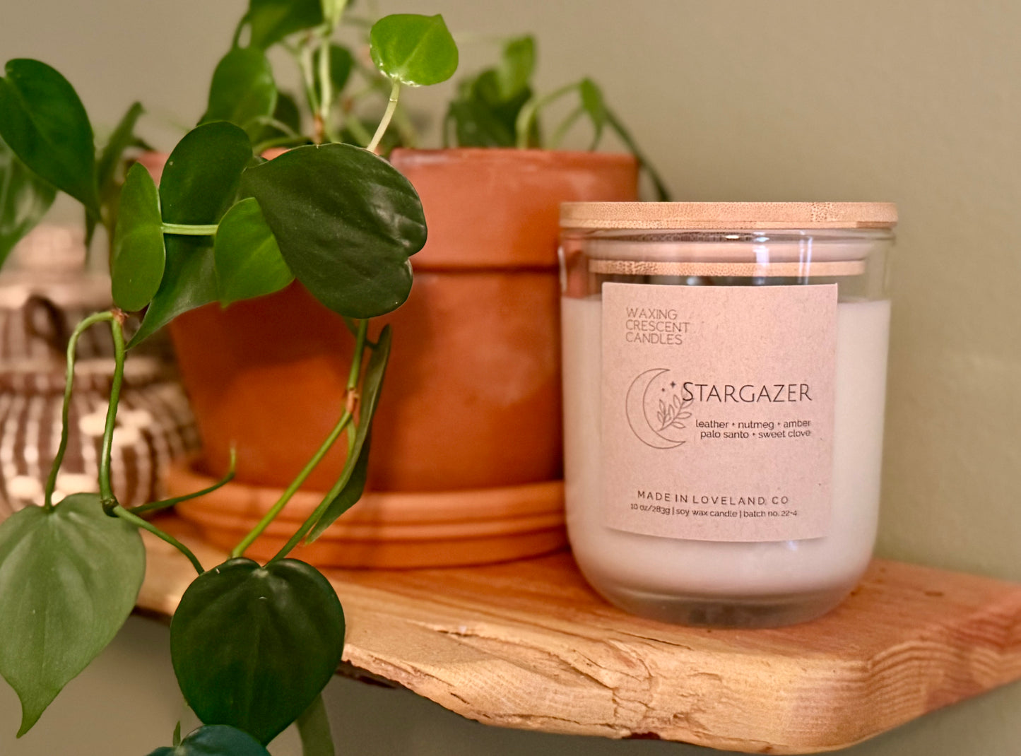 Stargazer (leather + nutmeg + amber + sweet clove + palo santo)