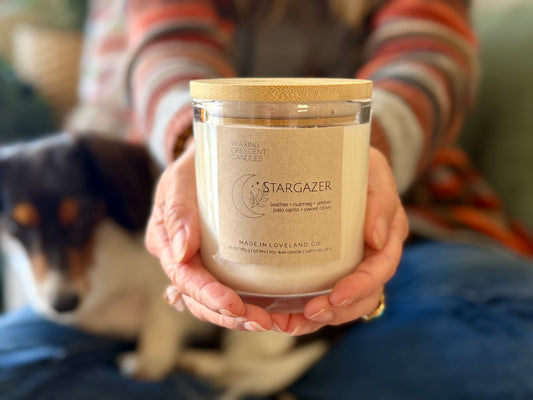 Stargazer (leather + nutmeg + amber + sweet clove + palo santo)