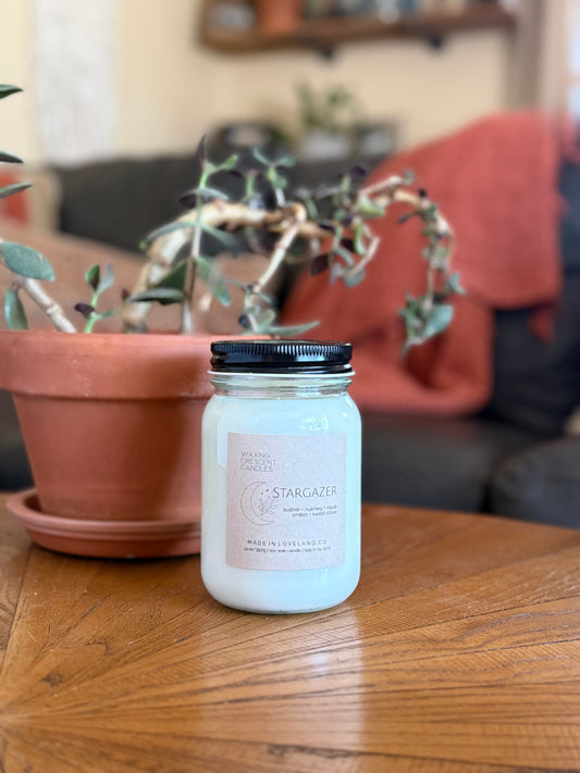 Stargazer (leather + nutmeg + amber + sweet clove + palo santo)