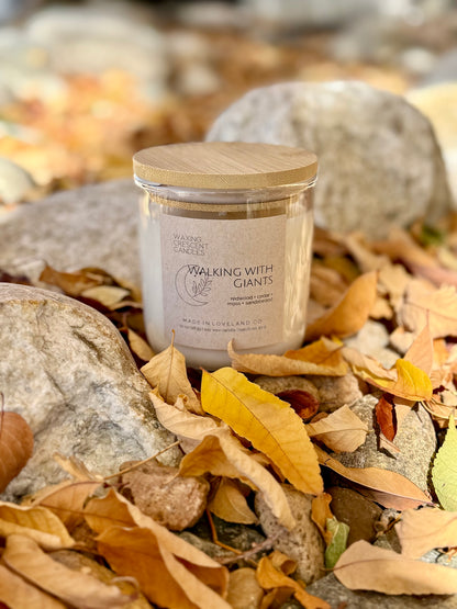 Walking with Giants (redwood + cedar + moss + sandalwood)