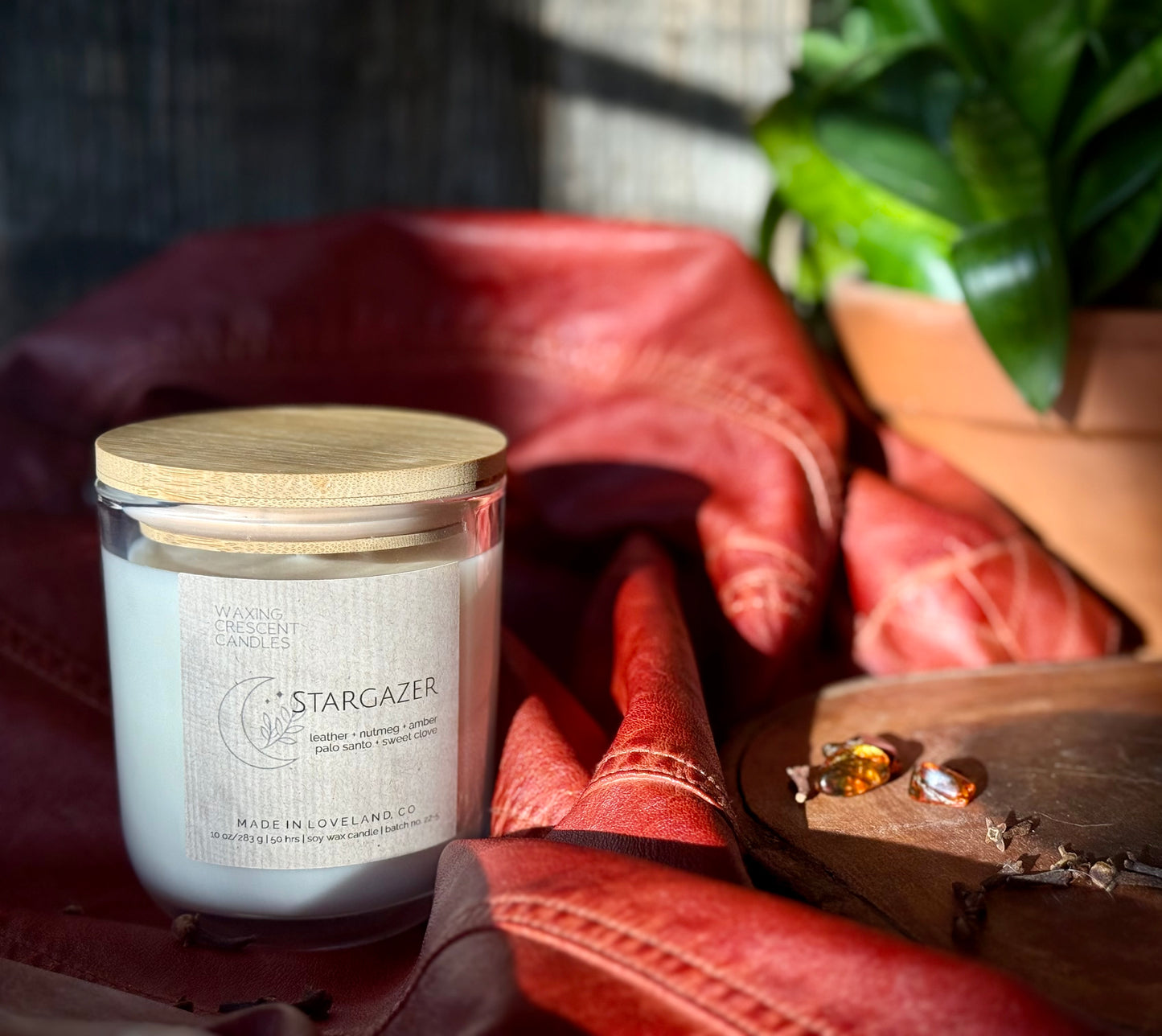 Stargazer (leather + nutmeg + amber + sweet clove + palo santo)