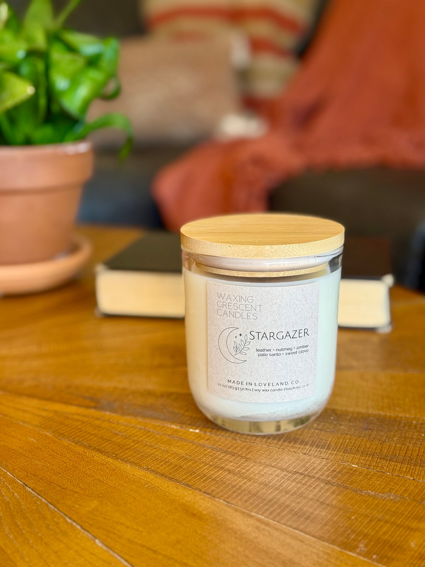 Stargazer—Imperfect, Still Beautiful